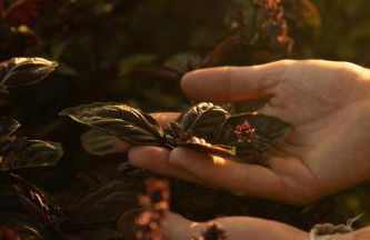 Agriturismo Le Forre del Treja (La Villa) - Foto 54