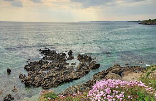 Maison d'Ys à 500 m de la plage - Foto 29