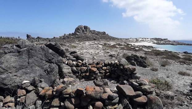 Excursion sur l'île de Damas - Foto 5, Vous découvrirez un site naturel unique