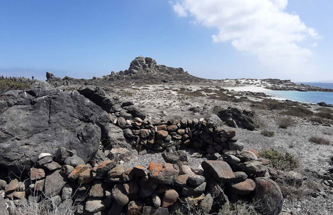 Excursion sur l'île de Damas - Photo 5