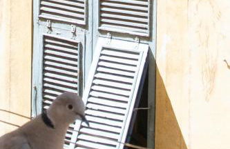 26 nice Vieux Nice - Foto 17