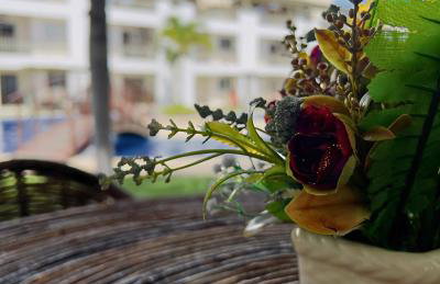 SW Rustica Apartamentos - Photo 24