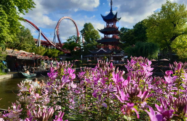 Ingresso dos Jardins Tivoli - Foto 6