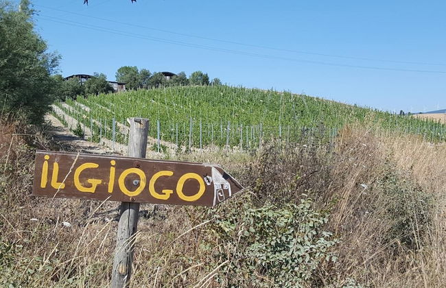 Agriturismo Il Giogo - Photo 51