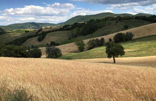 La Corte del Gusto LuxuryApartments - Foto 24