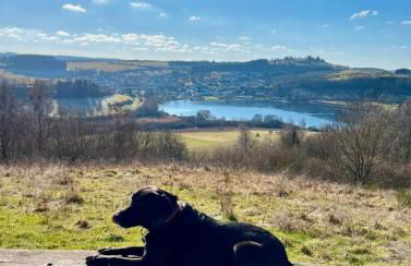 Eifel Urlaub mit Hunden Ferienhaus Schwalbennest Schalkenmehren - Foto 32