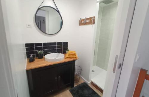 Villa Dinah 17 Maison dans la campagne Rochelaise - Foto 7