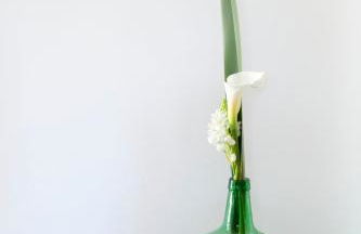 Os Lambráns - Foto 110