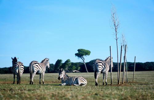 PR Apartment Fazana - Foto 26