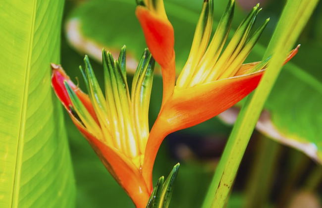 Royal Kahana 318 Studio Bedroom Condo by RedAwning - Foto 57