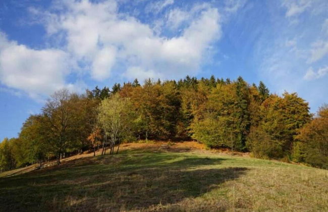 Comely Holiday Home in Guntersberge Near Forest - Foto 57