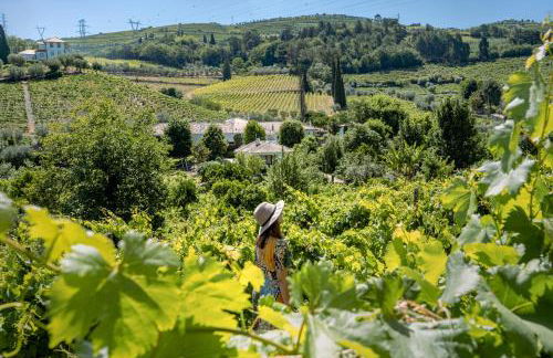 Casa da Azenha - Foto 21