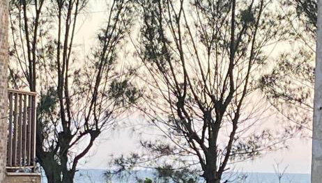 Apartamento beira da praia - Foto 2