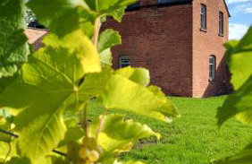 Gardeners Cottage Apartment - Foto 16