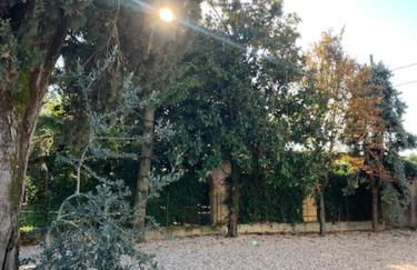 Magnolia Country House - Foto 47