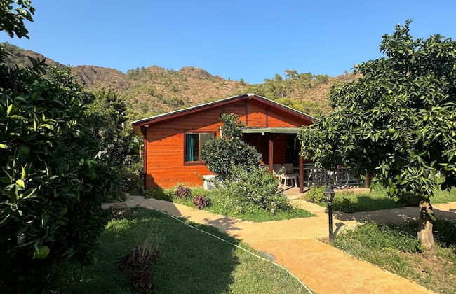 Cıralı Anka Apart Bungalov - Foto 19