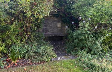 Cantre Selyf - Foto 58