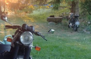 domki na leśnej polanie - Foto 24