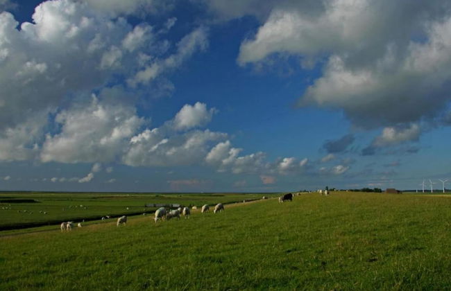 Holiday Home Near Wadden Sea & Elfsteden Path - Foto 38
