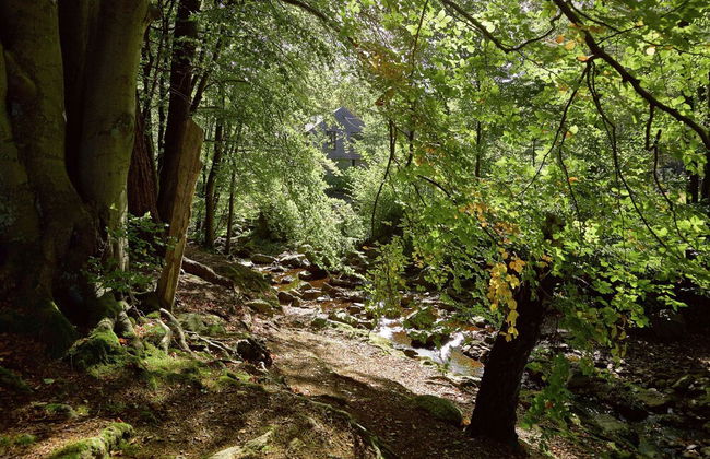 Jalhay Pondside Forest Home - Foto 34