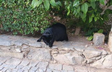 Nice 2 bedroom apartment groundfloor swimming pool - Foto 29