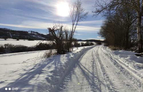 Lavender Hill - Foto 31