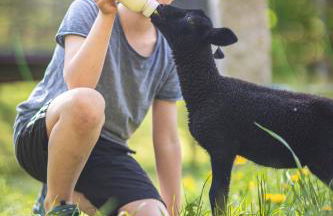 Körnermühle - Foto 3