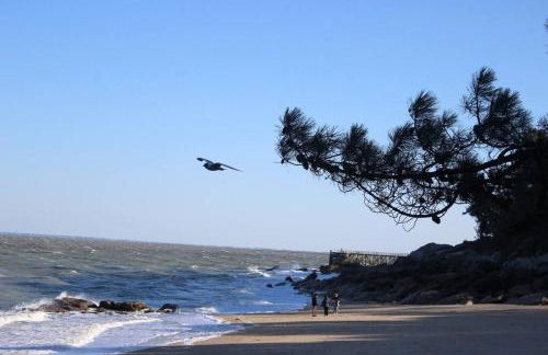 Maisonnette 2 pièces 100m de la plage de la Clère - Foto 22