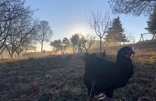 HEAVEN HOUSE - Photo 11