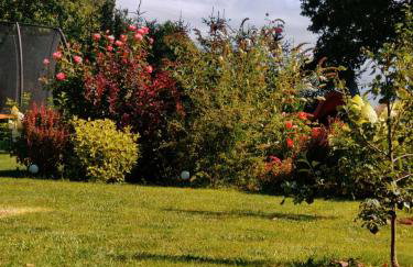 Stara Stolarnia - Foto 42