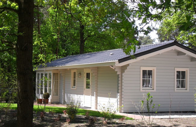 2 bedroom House in Belfeld with swimming pool and terrace - Photo 3