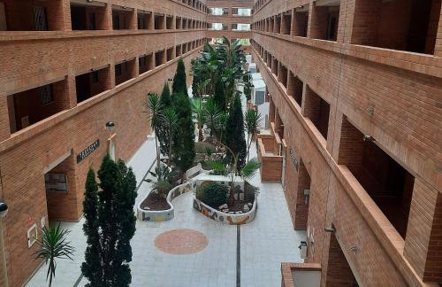 Apartamento Magic World Oropesa - Photo 13
