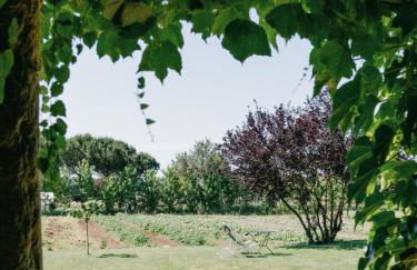 Can Serrà 1786 - Photo 40