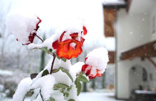 Apartments Tratter - Foto 38