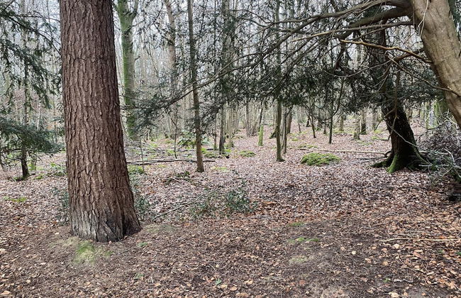 Private and Secluded Cabin in Rowfant - Foto 27