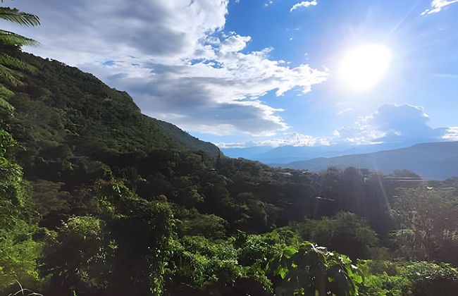 San Gil Plaza suite 502 - Foto 80