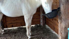 Masía Casa Rullo - Photo 4