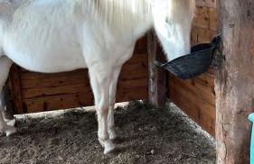 Masía Casa Rullo - Foto 4