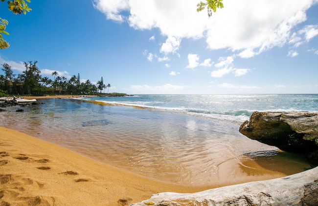 Kauai Hale Awapuhi By Coldwell Banker Island Vacations - Foto 48