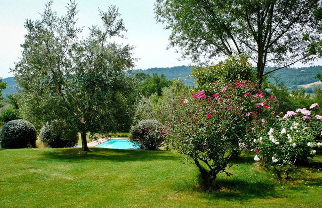 Casale Chimneys Immersed in Olive Trees - Foto 13