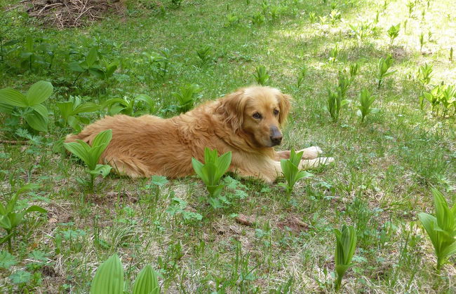 Dormì & Disnà - Foto 39