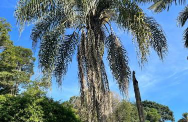 Chácara Casa Amarela - estrutura completa de lazer - ambientes elegantes e exclusivos - campo de futebol e bocha - piscina - lareiras - 10 min Rota do Vinho - Foto 70
