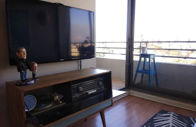 Central Apartment Providencia - Foto 8