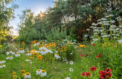 Siedlisko Janopole - Foto 56