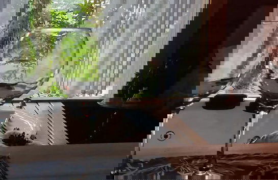 Vila Paraíso - Blumenau - SC - Photo 46