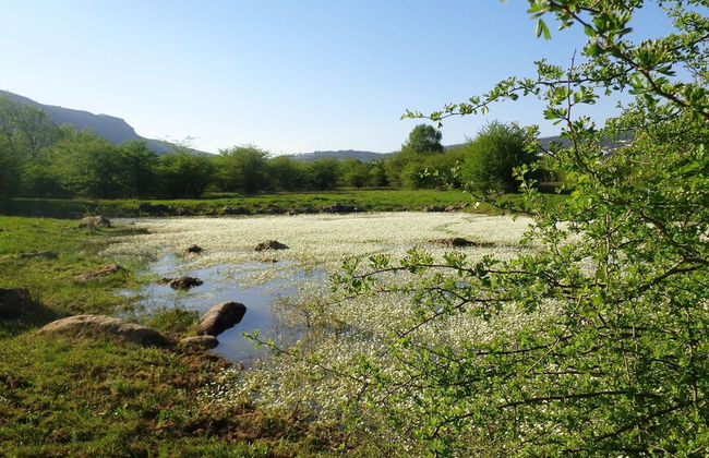 Retiro do Bosque Country House - Photo 26