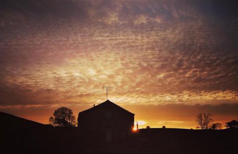 Stay Lambing Live - Photo 19