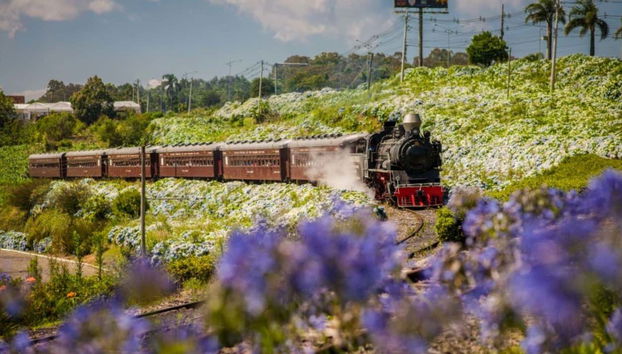 ¡Amaréis el viaje en el tren Maria Fumaça!