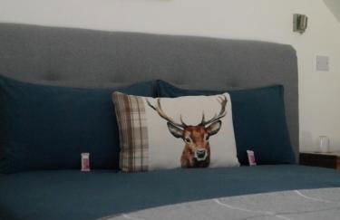 Rest At Last - Highland Apartment with Private hot tub - Photo 9