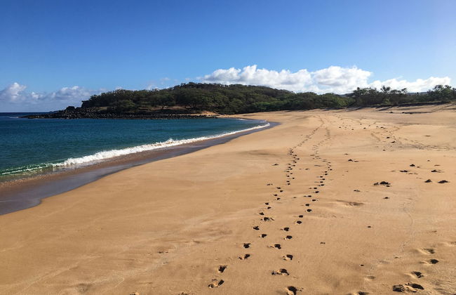 Paniolo Hale - Foto 28